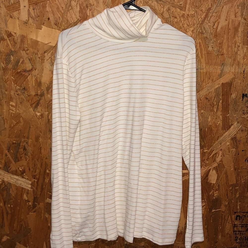 Cream and Gold Turtleneck